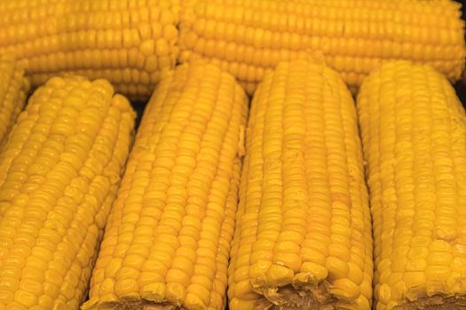 boiled delicious corn cobs close-up as background. photo