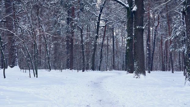 the coldest season of the year, in the northern hemisphere from December to February and in the southern hemisphere from June to August.