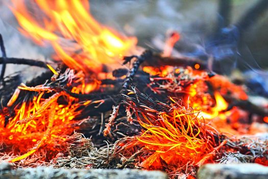 combustion or burning, in which substances combine chemically with oxygen from the air and typically give out bright light, heat, and smoke.Fire in the forest burning pine branches.