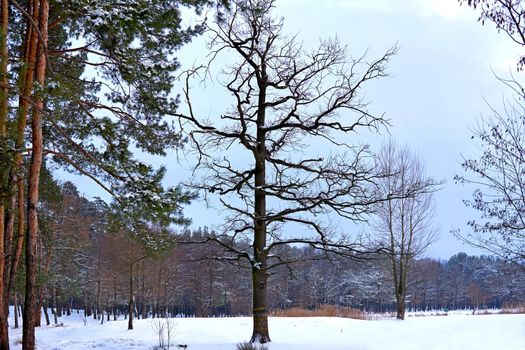 the coldest season of the year, in the northern hemisphere from December to February and in the southern hemisphere from June to August.