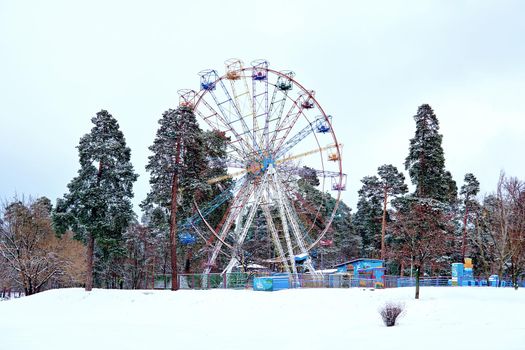 an amusement-park or fairground ride consisting of a giant vertical revolving wheel with passenger cars suspended on its outer edge.big ferris wheel in winter forest park.