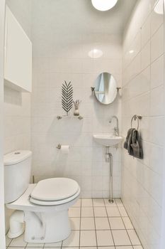 A cozy bathroom with a toilet and a ceramic sink under an oval mirror