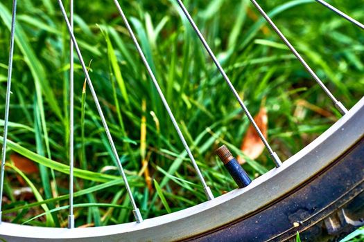 a circular object that revolves on an axle and is fixed below a vehicle or other object to enable it to move easily over the ground.Bicycle wheel with hub close up on the grass background.