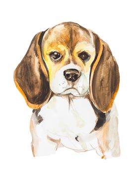 Portrait of cute sad dog isolated on white background. Watercolor hand drawn illustration