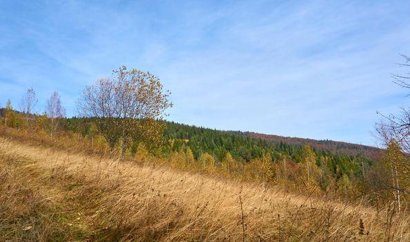 Autumn is the most colorful time of the year from all seasons, when nature changes its usual appearance to golden colors in glimpses of autumn sun.Autumn consists of September, October and November