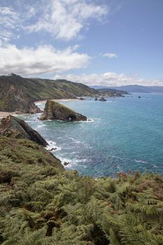 Seascape showing Cantabric sea with some plants in the foreground in Loiba cliffs in Galician coast in Spain