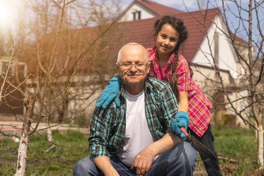 Small girl with senior grandfather gardening in the backyard garden.