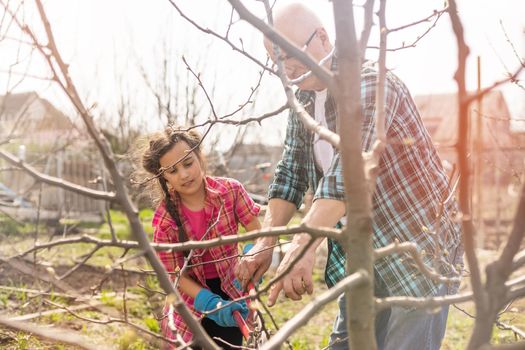 A small girl with grandfather outside in spring nature, having fun. gardening.