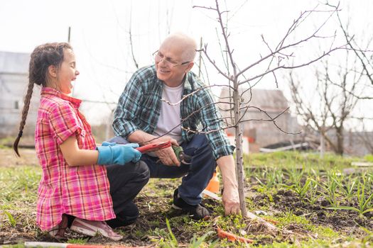 A small girl with grandfather outside in spring nature, having fun. gardening.