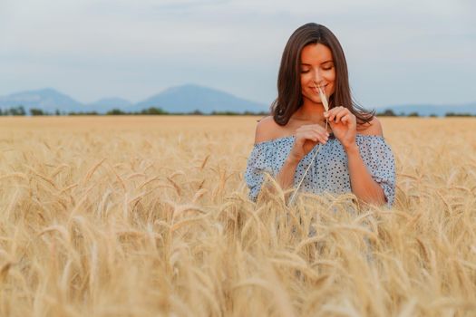 The beautiful young girl with long brunette hairs poses in the field with wheat at sunset, she rejoices in a spikelet of wheat, she is smiling and flirting, light blue dress, France, Provence. High quality photo