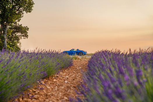 A blue convertible sports car stands somewhere on a country road among the blooming lavender at sunset. High quality photo