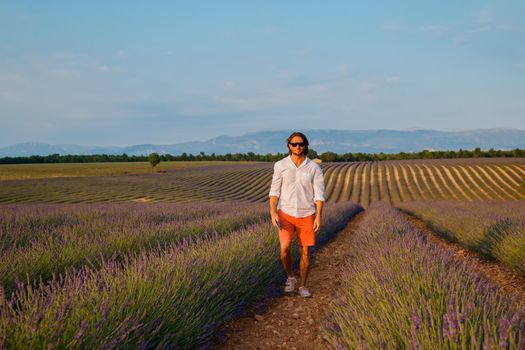 The handsome brutal man with long brunette hair is walking in the field of lavender in provence near Valensole, France, clear sunny weather, in a rows of lavender, red shorts, white shirts, blue sky. High quality photo