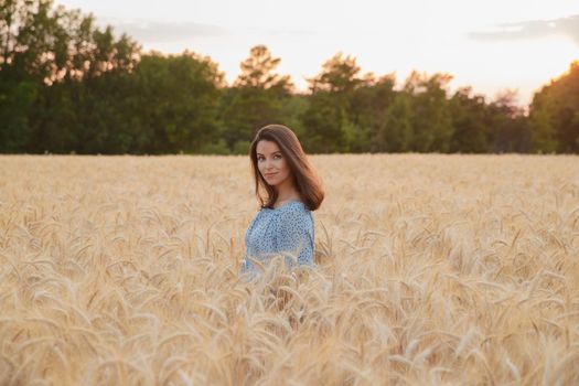 The beautiful young girl with long brunette hairs poses in the field with wheat at sunset, she rejoices in a spikelet of wheat, she is smiling and flirting, light blue dress, France, Provence. High quality photo
