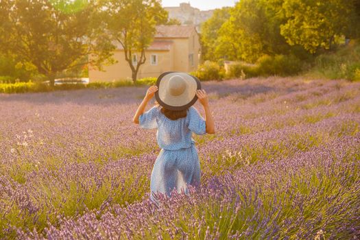 The girl with her back to us in a blue dress and cap walks across the field of a lavender flowers at sunset, she is holding on to her hat, long hair, a house of the gardener in the background. High quality photo