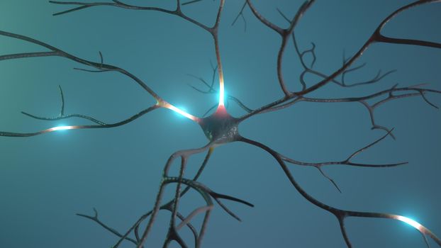 Neuron cluster signal transfer inside human brain