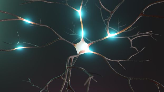 Neuron cluster signal transfer inside human brain