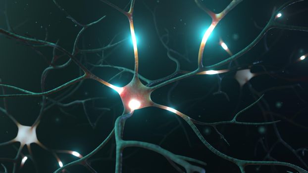 Neuron cluster signal transfer inside human brain