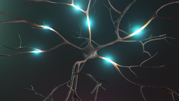 Neuron cluster signal transfer inside human brain