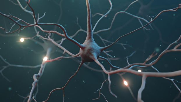 Neuron cluster signal transfer inside human brain