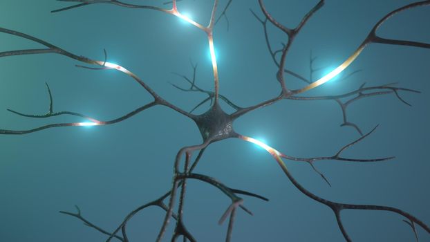 Neuron cluster signal transfer inside human brain