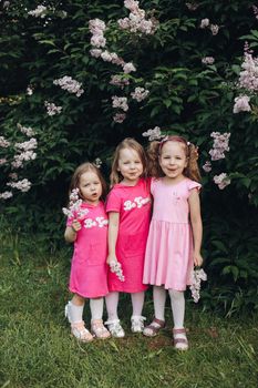 Three beautiful cute girls and girlfriends hug in pink dresses in a blooming park in spring