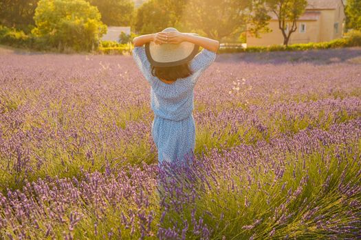 The girl with her back to us in a blue dress and cap walks across the field of a lavender flowers at sunset, she is holding on to her hat, long hair, a house of the gardener in the background. High quality photo