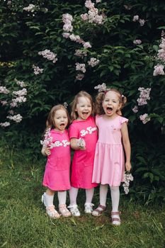 Three beautiful cute girls and girlfriends hug in pink dresses in a blooming park in spring