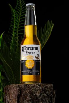 Tallinn, Estonia - March 2022: Editorial photo of Corona Extra beer on dark tropical background.