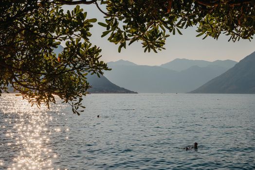 Sunset, beautiful landscape with silhouettes of trees. Travel concept. Montenegro, Kotor Bay. Sunset at Kotor Bay Montenegro. View of the sunset in Boko-Kotor Bay in Montenegro. Silhouettes of mountains. High quality photo