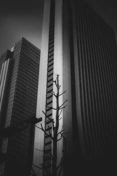 High-rise building group (monochrome) in Shinjuku-ku, Tokyo. Shooting Location: Tokyo metropolitan area