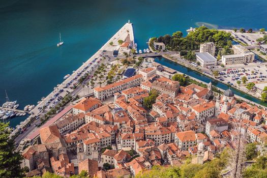 Montenegro. Bay of Kotor, Gulf of Kotor, Boka Kotorska and walled old city. Fortifications of Kotor is on UNESCO World Heritage List since 1979.