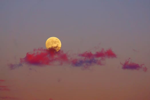Moon illuminated on the sunset. Shooting Location: Tokyo metropolitan area