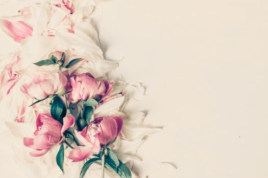 Border of Beautiful pink and white peony flowers on wooden table with copy space for your text top view and flat lay style.