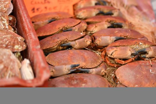 Raw of crabs at the market