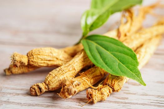 Ginseng roots and green leaf, healthy food.