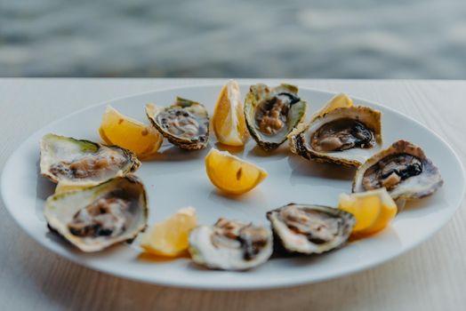 Fresh oysters with lime on a round plate. Oyster season. Macro-seafood dish. Oyster on the half shell.Two varieties of oysters.Out of focus. White plate of fresh oyster on ice and piece of lemon on wooden table