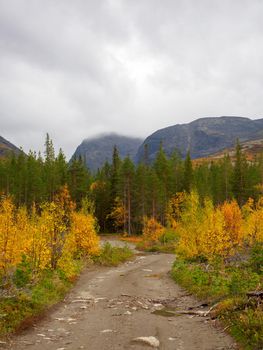The road among the blooming tundra in autumn is a gloomy landscape of the Khibiny Mountains. photo