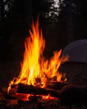 Burning campfire, with camping tent in the background, deep inside the forest, at sunset. High quality photo