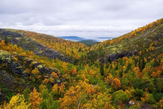 Path on the forest slope of the mountain in autumn in Khibiny, Kola Peninsula, Russia. photo