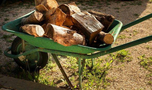 Old green wheelbarrow plenty of tree wood logs in the countryside