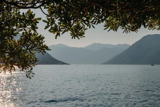 Sunset, beautiful landscape with silhouettes of trees. Travel concept. Montenegro, Kotor Bay. Sunset at Kotor Bay Montenegro. View of the sunset in Boko-Kotor Bay in Montenegro. Silhouettes of mountains. High quality photo