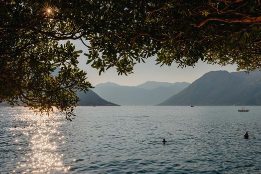 Sunset, beautiful landscape with silhouettes of trees. Travel concept. Montenegro, Kotor Bay. Sunset at Kotor Bay Montenegro. View of the sunset in Boko-Kotor Bay in Montenegro. Silhouettes of mountains. High quality photo