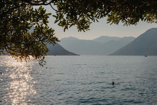 Sunset, beautiful landscape with silhouettes of trees. Travel concept. Montenegro, Kotor Bay. Sunset at Kotor Bay Montenegro. View of the sunset in Boko-Kotor Bay in Montenegro. Silhouettes of mountains. High quality photo