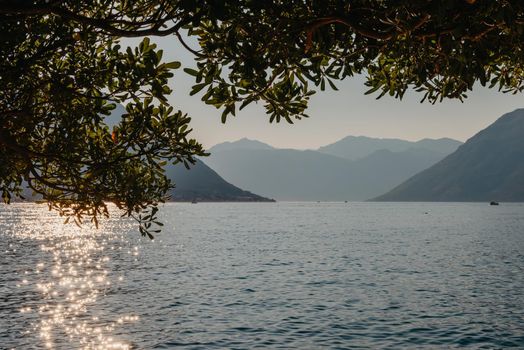 Sunset, beautiful landscape with silhouettes of trees. Travel concept. Montenegro, Kotor Bay. Sunset at Kotor Bay Montenegro. View of the sunset in Boko-Kotor Bay in Montenegro. Silhouettes of mountains. High quality photo