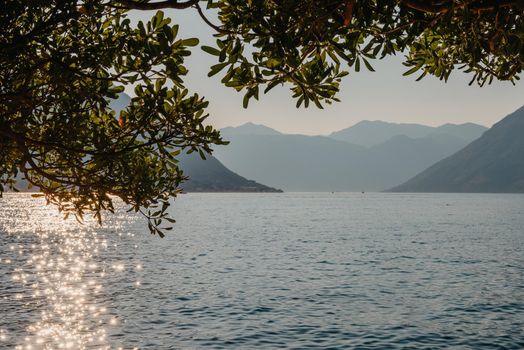 Sunset, beautiful landscape with silhouettes of trees. Travel concept. Montenegro, Kotor Bay. Sunset at Kotor Bay Montenegro. View of the sunset in Boko-Kotor Bay in Montenegro. Silhouettes of mountains. High quality photo