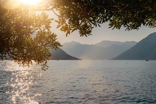 Sunset, beautiful landscape with silhouettes of trees. Travel concept. Montenegro, Kotor Bay. Sunset at Kotor Bay Montenegro. View of the sunset in Boko-Kotor Bay in Montenegro. Silhouettes of mountains. High quality photo