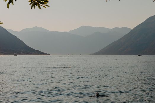 Sunset, beautiful landscape with silhouettes of trees. Travel concept. Montenegro, Kotor Bay. Sunset at Kotor Bay Montenegro. View of the sunset in Boko-Kotor Bay in Montenegro. Silhouettes of mountains. High quality photo