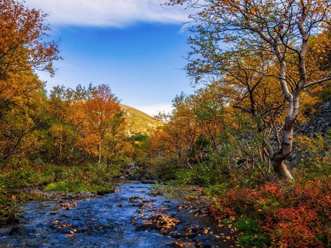 River in the Khibiny mountains in autumn. Autumn landscape.