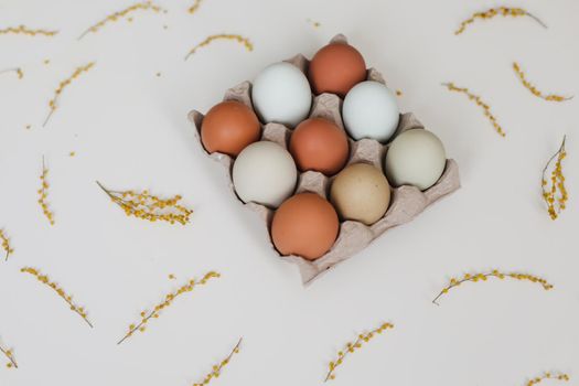 Beautiful Easter composition with eggs, mimosa branches and leaves on white background.