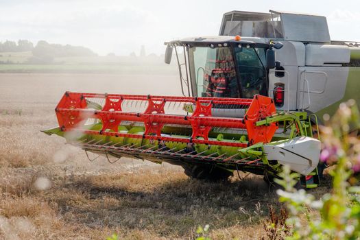 Wheat harvesting in the summer season by a modern combine harvester. Farmers securing food supply and feeding the nation